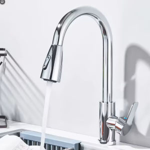 Pull-Out Kitchen Faucet - Brushed Stainless Steel