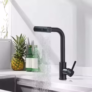 Pull-Out Kitchen Faucet - Matte Black